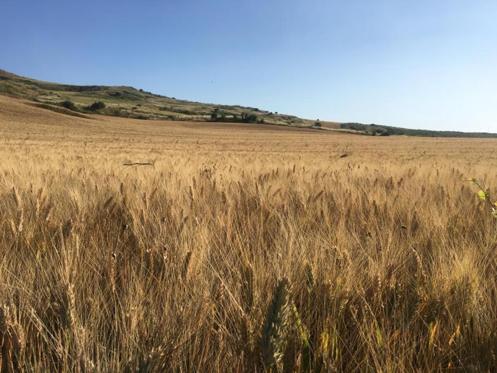 Naro Gibbesi Country Farm Piccolo Cottage מראה חיצוני תמונה